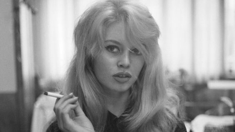 La Leyenda Viva de la Comunicación: Brigitte Bardot, Icono del Cine Mundial, Abandona el Escenario a los 91 Años