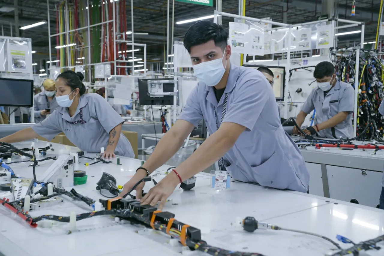 "Vuelta a la normalidad laboral: Empleo formal cierra 2025 con un resultado sorprendentemente bueno, pese a un golpe en el final del año"