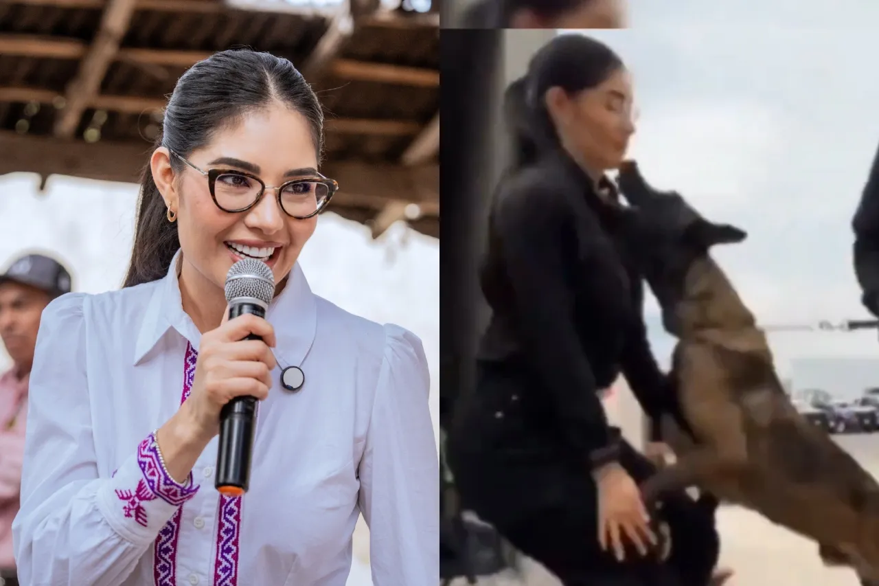 "El silencio del poder: Un perro policial salta a la fama al atacar a la alcaldesa Geraldine Ponce en pleno ejercicio de sus funciones"