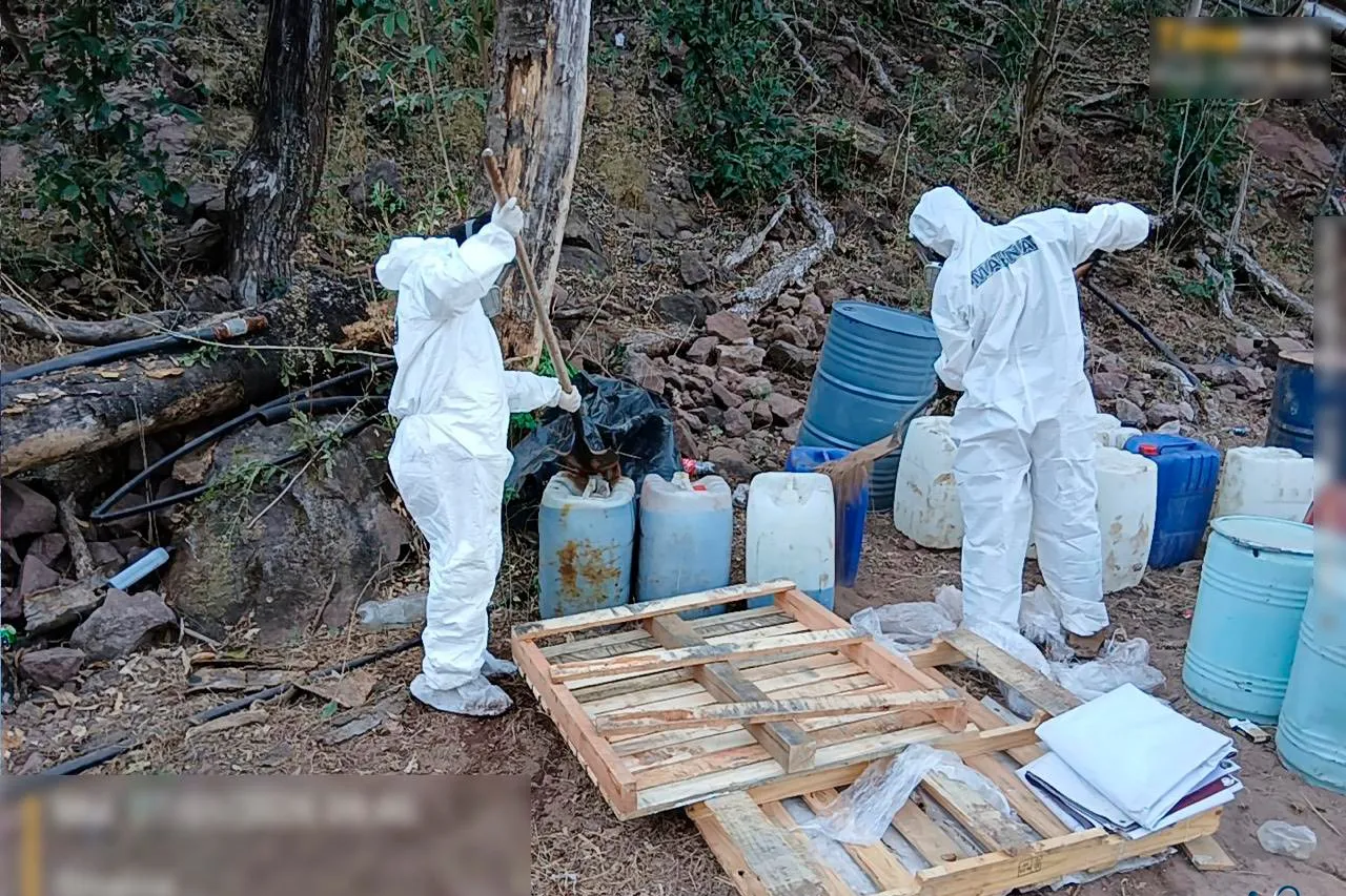 Operación de alta riesgo: autoridades desmantelan complejo criminal en Sinaloa donde se desarrollaba investigación ilícita en biotecnología.